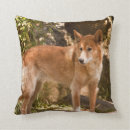 Zoek naar australisch kussens Voor iedereen