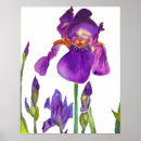 Zoek naar purper posters Voor haar