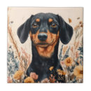 Zoek naar teckel tegels Elk persoon