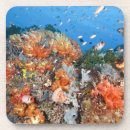 Zoek naar indonesië onderzetters Zeedieren