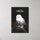 Zoek naar sneeuwuil kunst Roofvogel