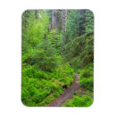 Zoek naar olympische spelen magneten Bos