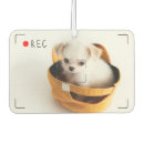 Zoek naar hond auto interieur accessoires Foto