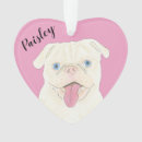 Zoek naar pugs ornamenten Voor haar