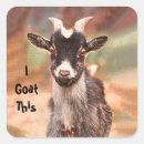 Zoek naar grappige geit stickers Schattig