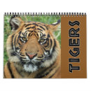 Zoek naar tijgers kalenders Tijgerkalender