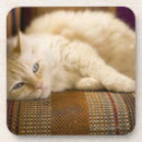 Zoek naar banken onderzetters Usa