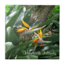 Zoek naar paradijsvogel tegels Bloemen