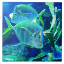 Zoek naar vis tegels Blauw