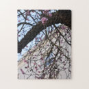 Zoek naar cherry blossom puzzels Natuur fotografie