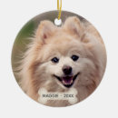 Zoek naar pomeranian ornamenten Schattig