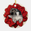 Zoek naar keeshond ornamenten Keeshound