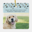 Zoek naar angel dog ornamenten Hond