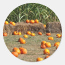 Zoek naar hooien stickers Pompoen