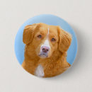 Zoek naar toller accessoires Hond