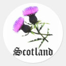 Zoek naar distel stickers Paars