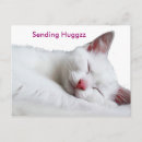 Zoek naar slaperig briefkaarten Kitten