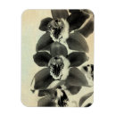 Zoek naar orchideeën magneten Bloemen