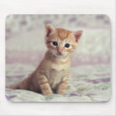 Zoek naar tiny muismatten Kitten