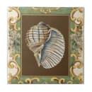 Zoek naar seashell tegels Conch shell