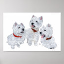 Zoek naar westie kunst Dieren