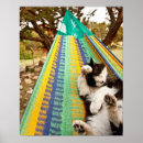 Zoek naar mexicaanse kat posters Dag