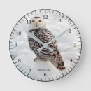 Zoek naar sneeuw uil klokken Vogel