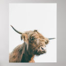 Zoek naar bruine koe posters Portret