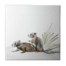 Zoek naar muizen tegels Dieren