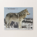 Zoek naar winter puzzels Dieren