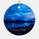 Zoek naar juneau ornamenten Alaska