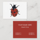 Zoek naar kever visitekaartjes Entomologie