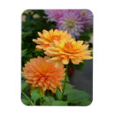 Zoek naar bloemkool magneten Bloemen