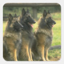 Zoek naar dog stickers Elk persoon