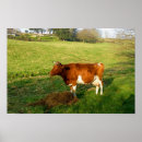 Zoek naar koeien melk kunst Boerderij