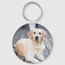 Zoek naar gouden labrador sleutelhangers Dierenvriend