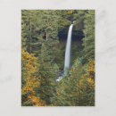 Zoek naar silver falls posters Bruin