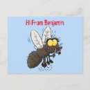 Zoek naar insect cartoon briefkaarten Vlieg