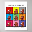 Zoek naar paard gezicht posters Humor