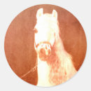 Zoek naar zigeuners stickers Bohaan