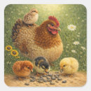 Zoek naar kuikens stickers Kip