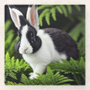 Zoek naar konijn onderzetters Dier