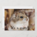 Zoek naar hamster uitnodigingen Knaagdier