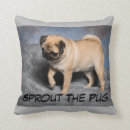 Zoek naar pug puppy kussens Pugs