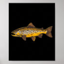 Zoek naar vliegvissen posters Hengelaar