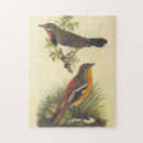 Zoek naar grond puzzels Wilde dieren