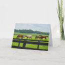 Zoek naar bluegrass kaarten Paarden