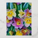 Zoek naar narcissus briefkaarten Tuin