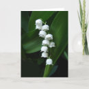 Zoek naar lelietje van dalen kaarten Bloemen