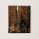 Zoek naar grond puzzels Park